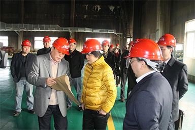 On January 31, 2012, the then Secretary of the Jiaxing Municipal Party Committee, Lu Jun, led the municipal development and reform committee and other city-level department heads to the company to investigate